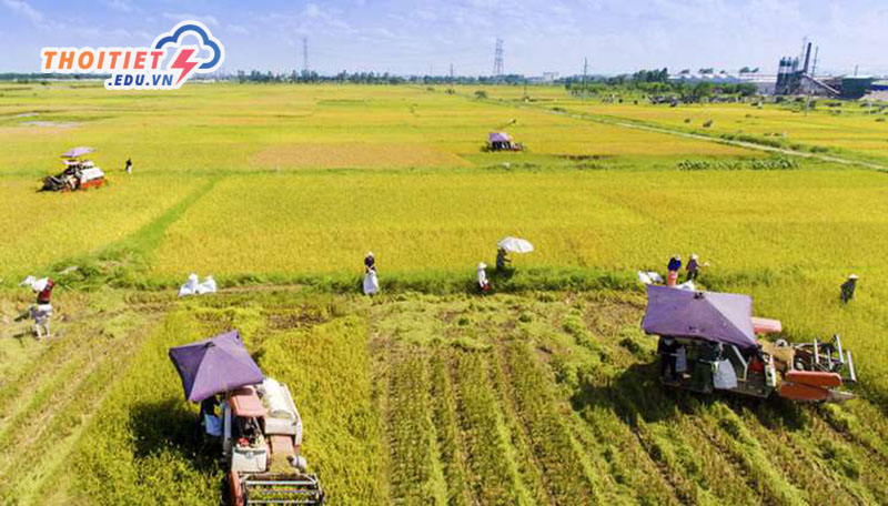 Ảnh hưởng của khí hậu nhiệt đới gió mùa