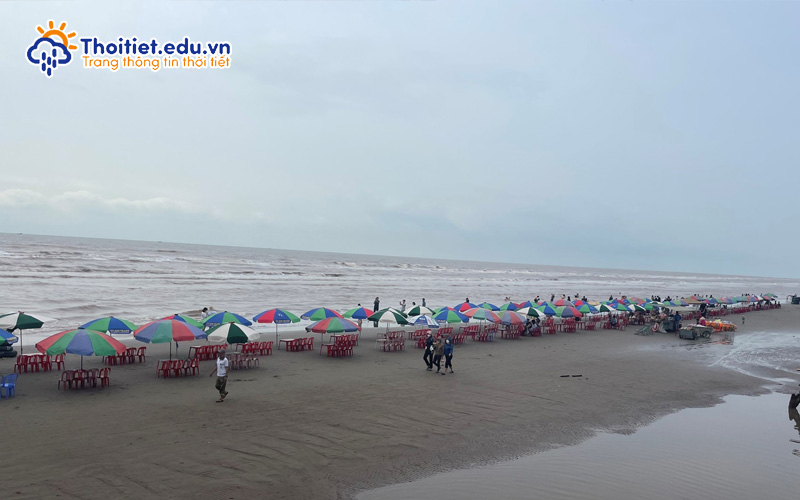 Bãi biển Cồn Vàng Thái Bình