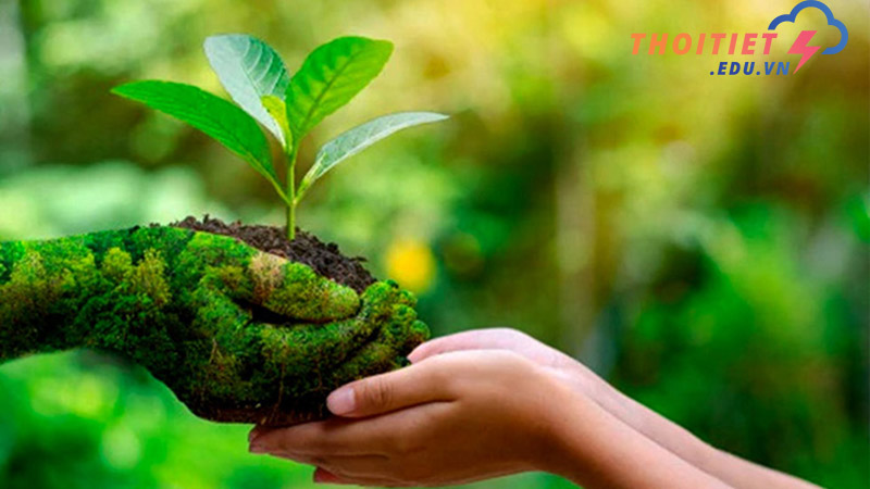biện pháp khắc phục ô nhiễm môi trường đất