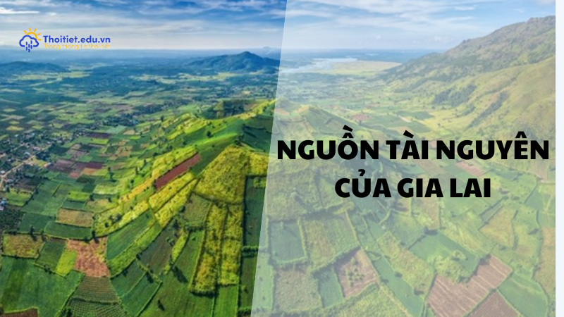 nguồn tài nguyên của Gia Lai