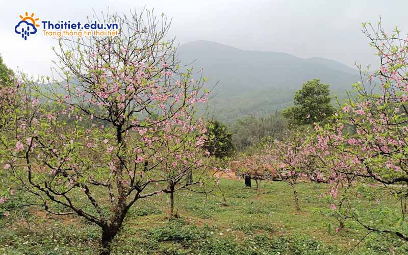 Đặc điểm khí hậu Thanh Hóa vào mùa xuân