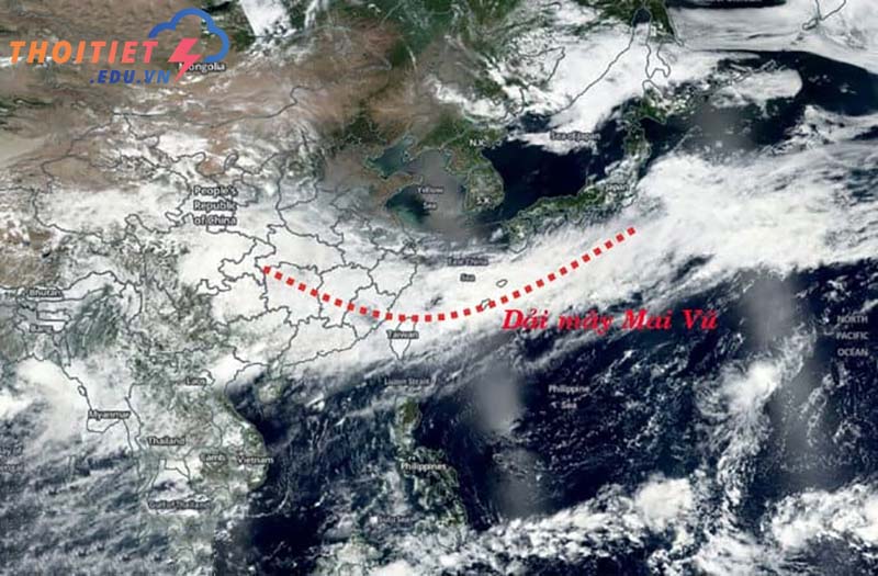 Dải hội tự nhiệt đới là gì