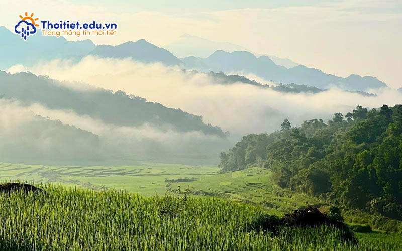 Độ ẩm khí hậu Thanh Hóa