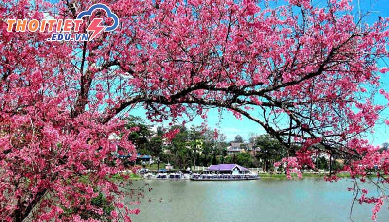 Khí hậu Đà Lạt mùa Xuân
