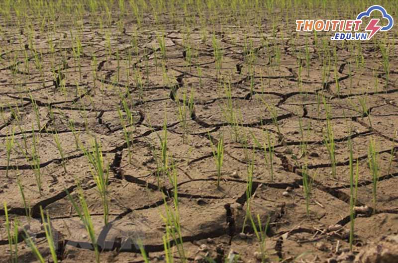 Hiện tượng El Nino