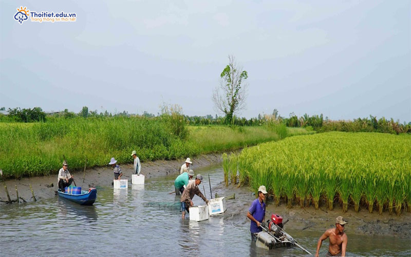 Khí hậu tỉnh Hậu Giang vào mùa khô
