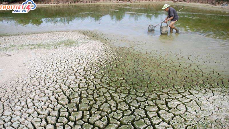 Khủng hoảng khí hậu là gì