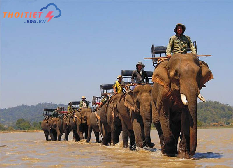 Làng voi Nhơn Hòa tỉnh Gia Lai