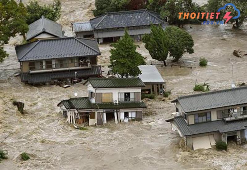 khí hậu lục địa có những đặc điểm chung gì