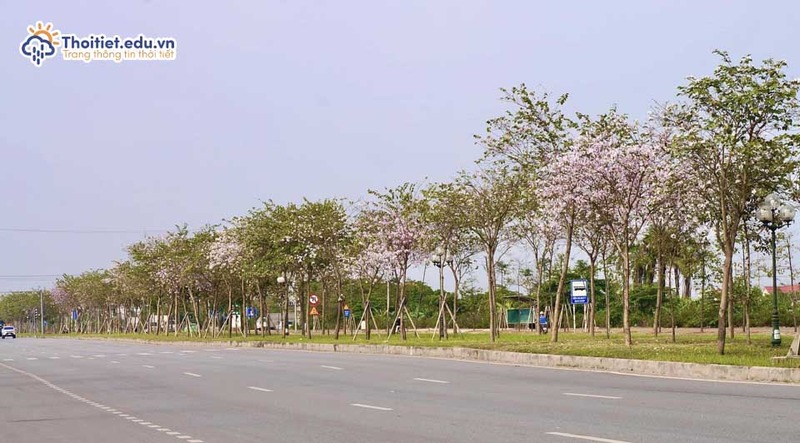 Mùa xuân tỉnh Hải Dương