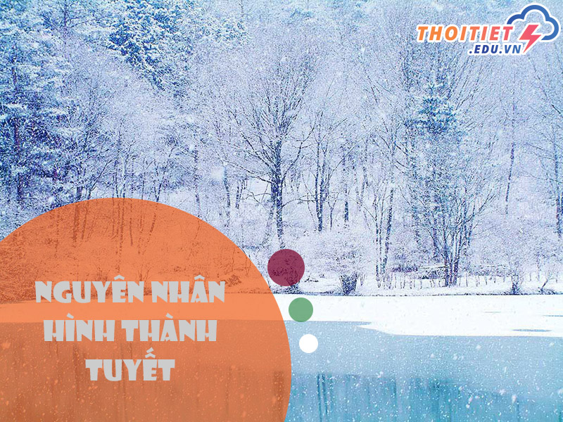 Nguyên nhân hình thành tuyết