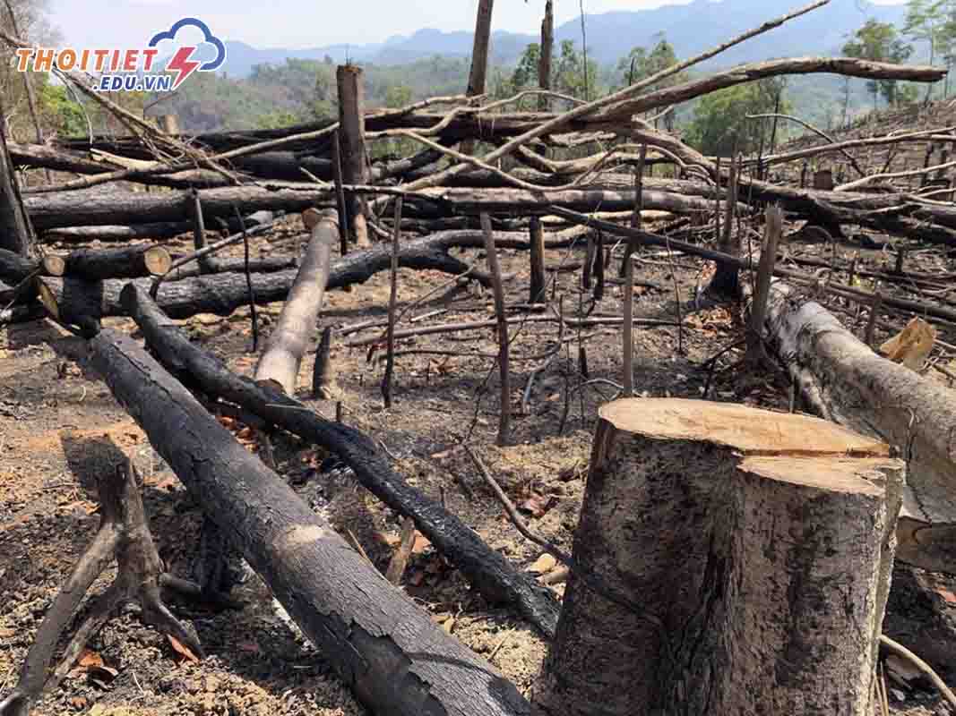 Nóng lên toàn cầu