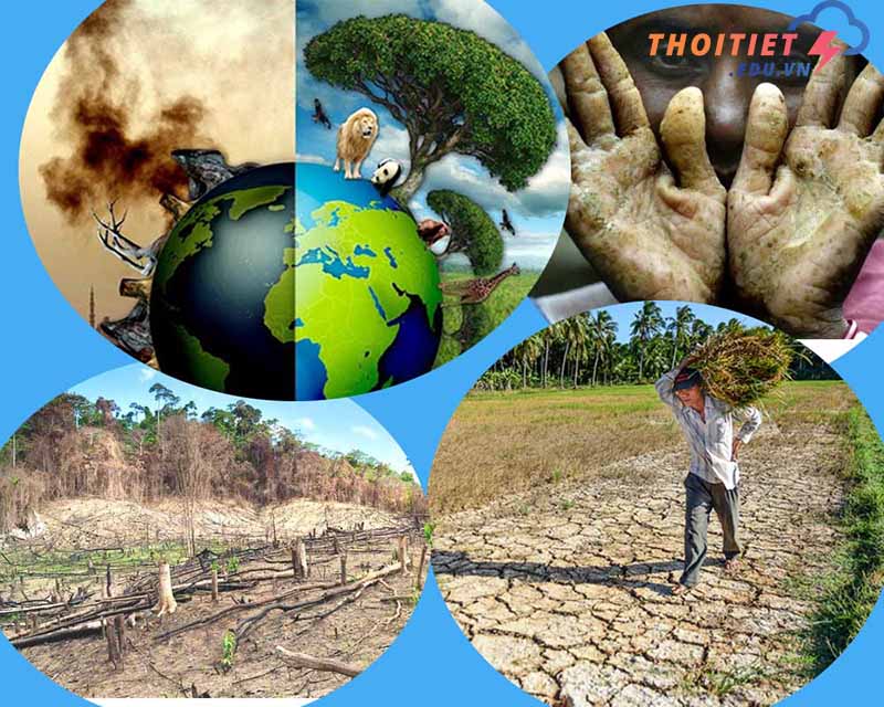 nguyên nhân ô nhiễm môi trường đất