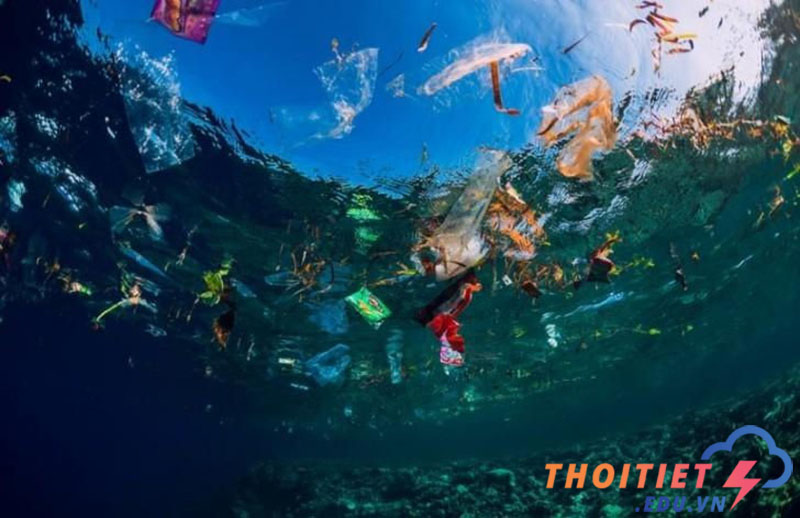 Rác thải nhựa trên biển Địa Trung Hải