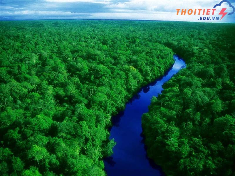 rừng lớn nhất thế giới