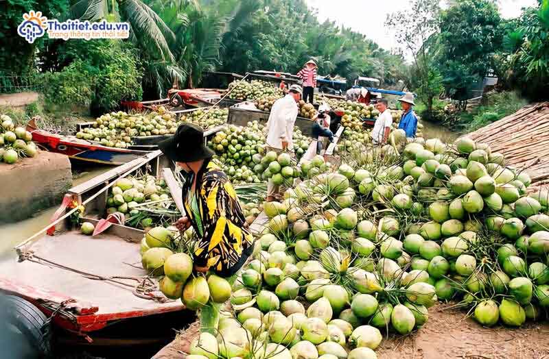 Tài nguyên động vật - thực vật
