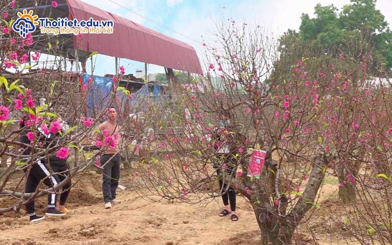 Thời tiết Thái Nguyên vào mùa xuân