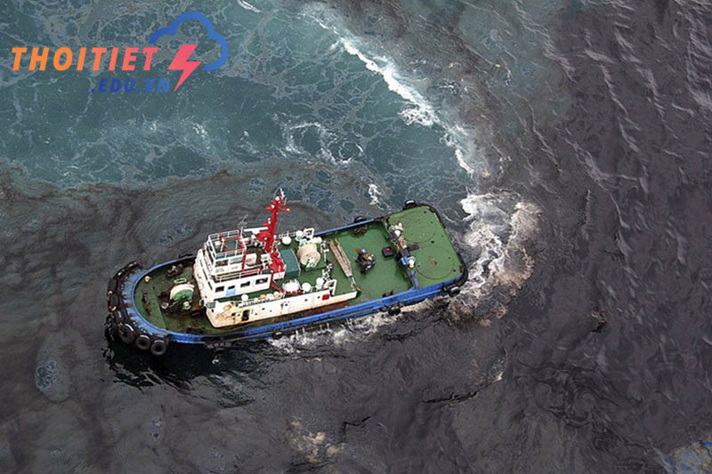 Thủy triều đen là gì
