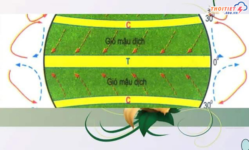 tính chất gió mậu dịch
