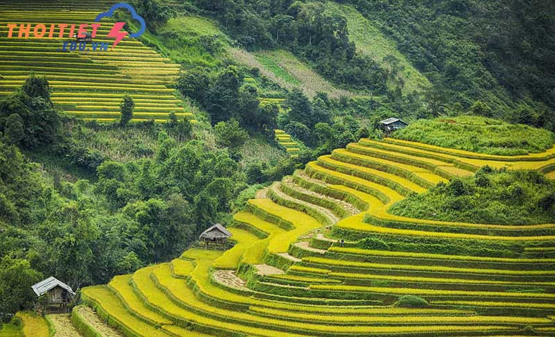 kiểu khí hậu nào gây thời tiết mưa