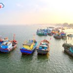 4 ngư trường trọng điểm của Việt Nam và tiềm năng phát triển