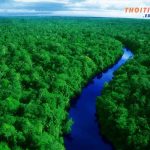 Những khu rừng lớn nhất thế giới tạo nên "lá phổi" của hành tinh