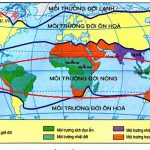 Khám phá đặc điểm khí hậu của môi trường xích đạo ẩm