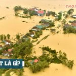 Lũ lụt là gì? Các cách phòng chống lũ lụt hiện nay