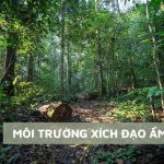 Tất tần tật kiến thức về môi trường xích đạo ẩm