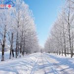 Mùa đông bắt đầu từ tháng mấy? Khám phá vẻ đẹp mùa đông một số nơi.