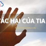 Những tác hại của tia UV và mẹo bảo vệ làn da vào mùa hè